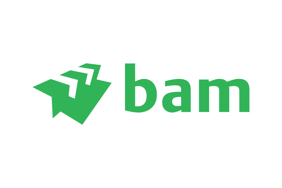 Royal BAM GroupVector SVG & PNG Logo