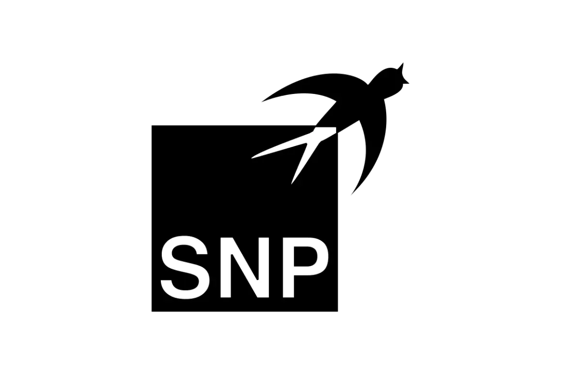 SNP Schneider-Neureither & PartnerVector SVG & PNG Logo