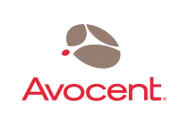 AvocentVector SVG & PNG Logo