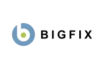 BigFixVector SVG & PNG Logo