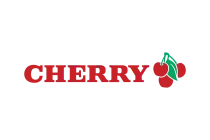 ZF ElectronicsVector SVG & PNG Logo