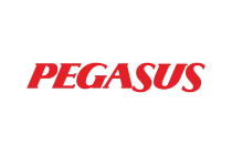 Pegasus AirlinesVector SVG & PNG Logo