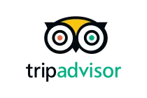 TripAdvisorVector SVG & PNG Logo