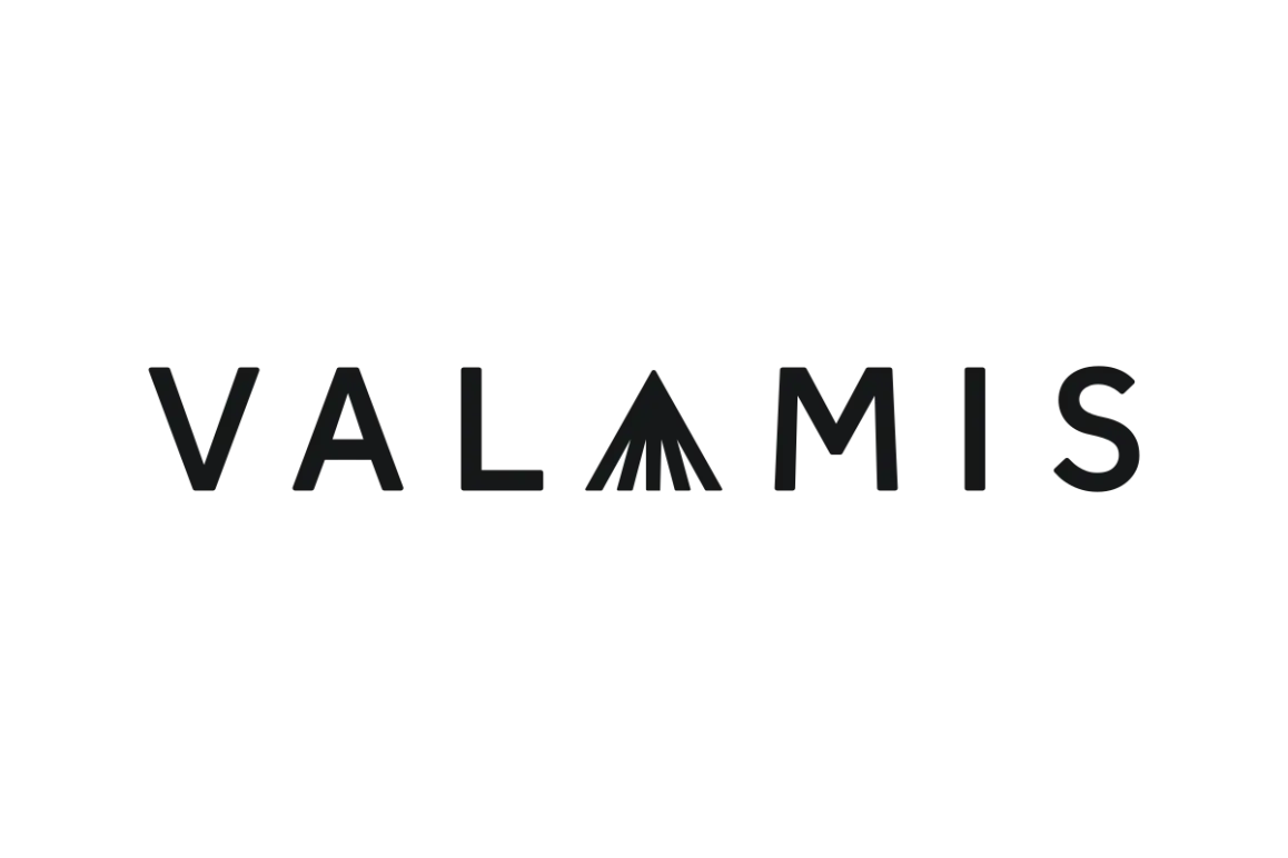 ValamisVector SVG & PNG Logo