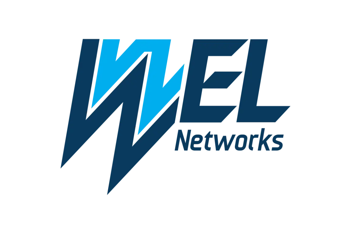 WEL NetworksVector SVG & PNG Logo